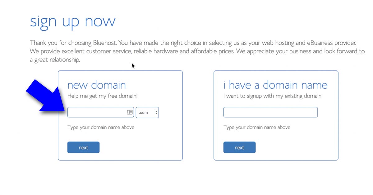 Domain Signup - How To Start A Blog Business And Get Paid