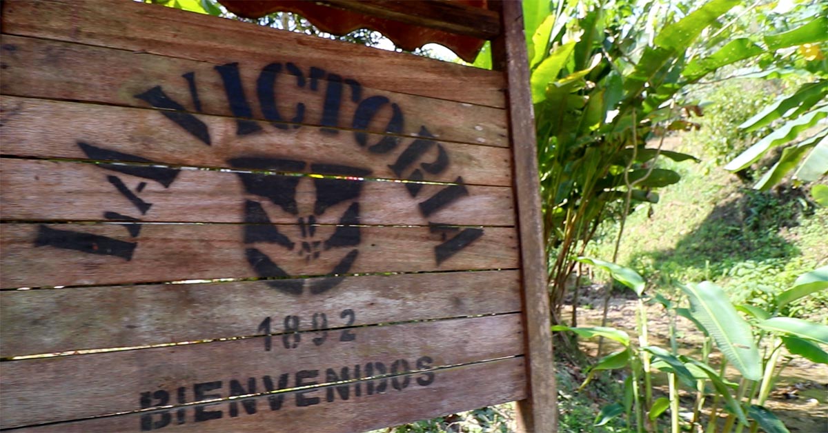 How A 19th Century Coffee Farm Is More Successful Than Ever_2